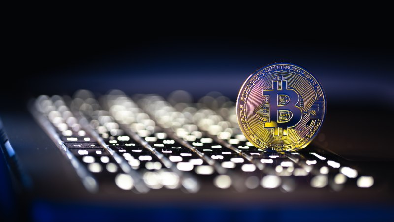 CraigScottCapital Cryptopia News
